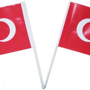 Plastik sopaya takılı kağıt Türk Bayrağı. Bayrak ölçüsü 15x21cm